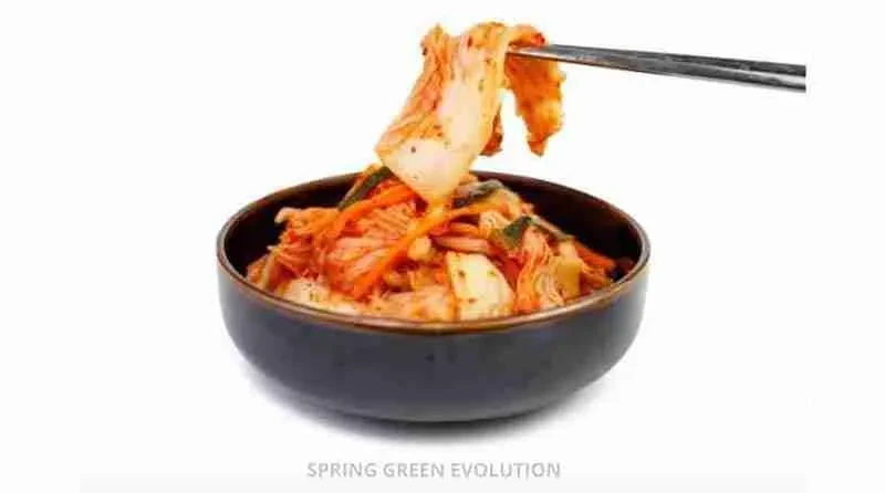 เรื่องน่ารู้เกี่ยวกับประโยชน์ของ-จุลินทรีย์-ที่มีต่อร่างกาย-compressed