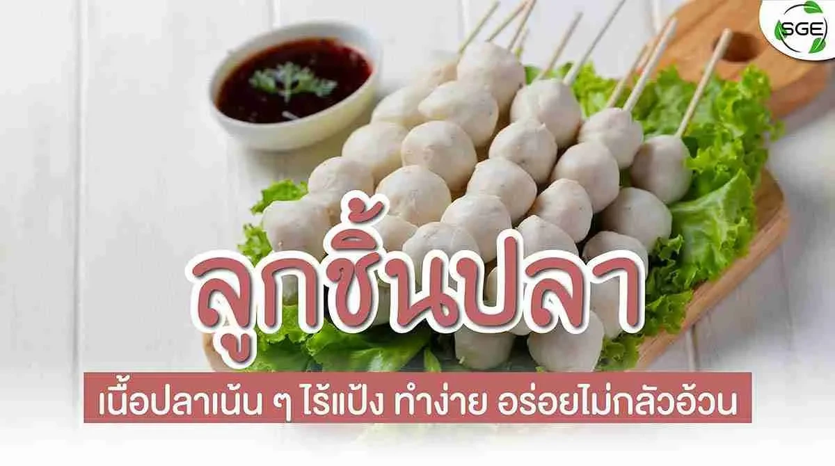 วิธีทำ ลูกชิ้นปลา ทำเองง่าย ไม่ยากอย่างที่คิด! วิธีทำ ลูกชิ้นปลา ทำเองง่าย ไม่ยากอย่างที่คิด!