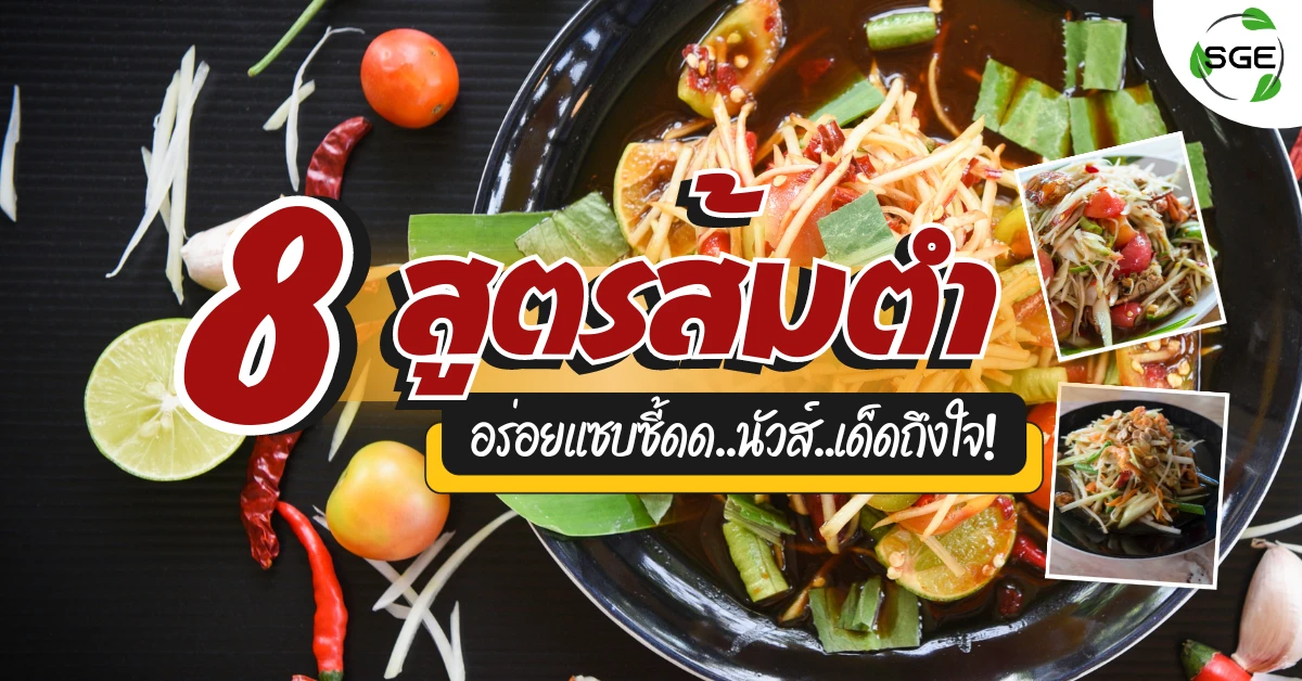 รวมเคล็ดลับ! 8 สูตรส้มตำ แซ่บๆ นัว ๆ อร่อยถึงใจ