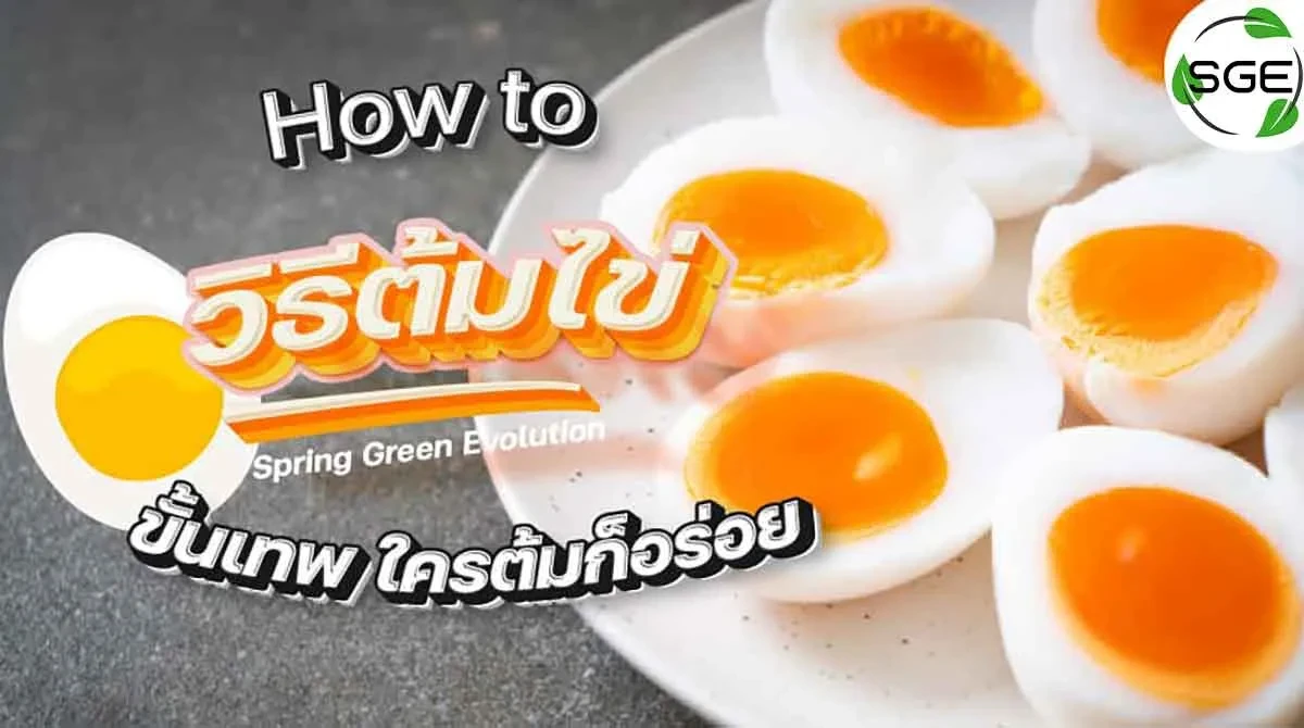 เทคนิค-วิธีต้มไข่-ขั้นเทพ-ใครต้มก็อร่อย 2021