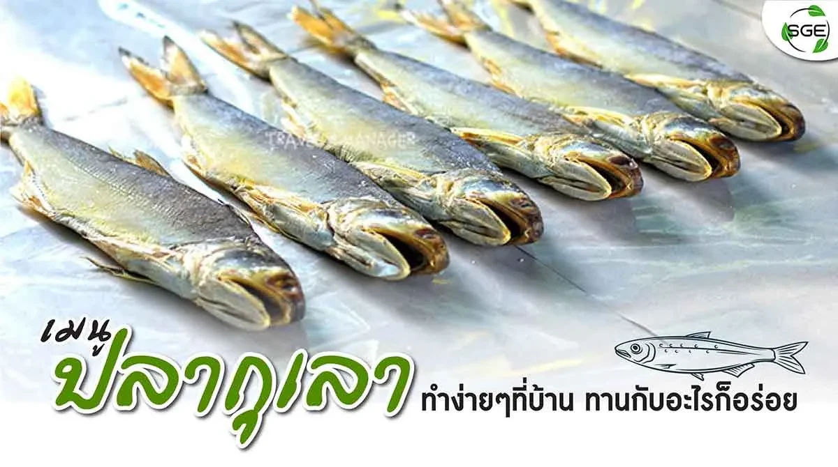 เมนู-ปลากุเลา-กินกับอะไรก็อร่อย 2021