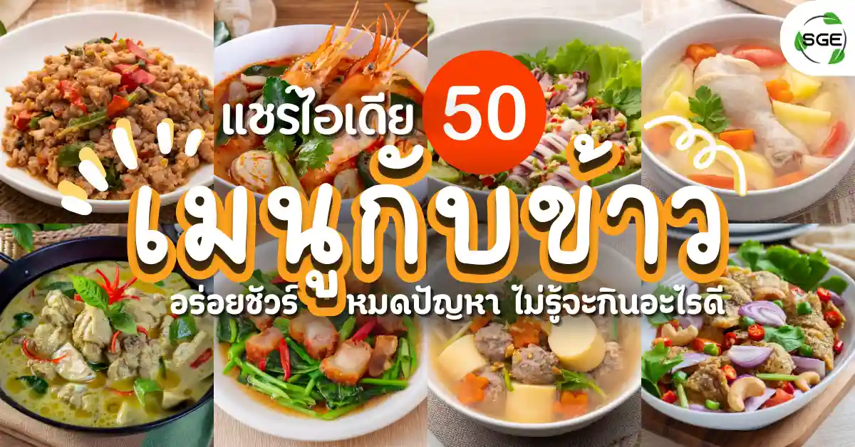 แชร์ไอเดีย 50 เมนูกับข้าว อร่อยชัวร์ หมดปัญหา ไม่รู้จะกินอะไรดี