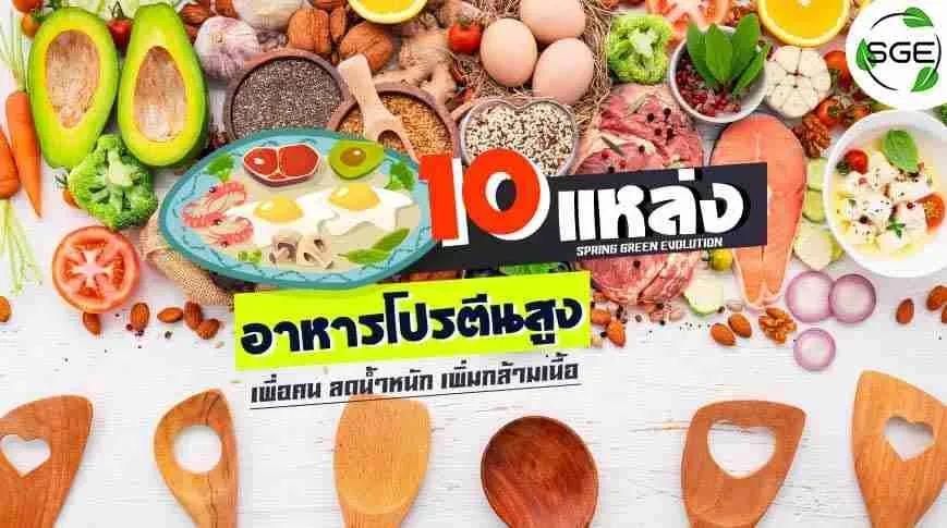 10-แหล่ง-อาหารโปรตีนสูง-2021