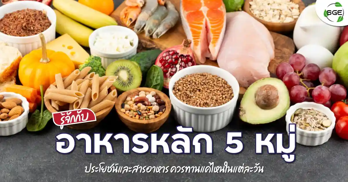 อาหารหลัก 5 หมู่-five-food-groups-banner