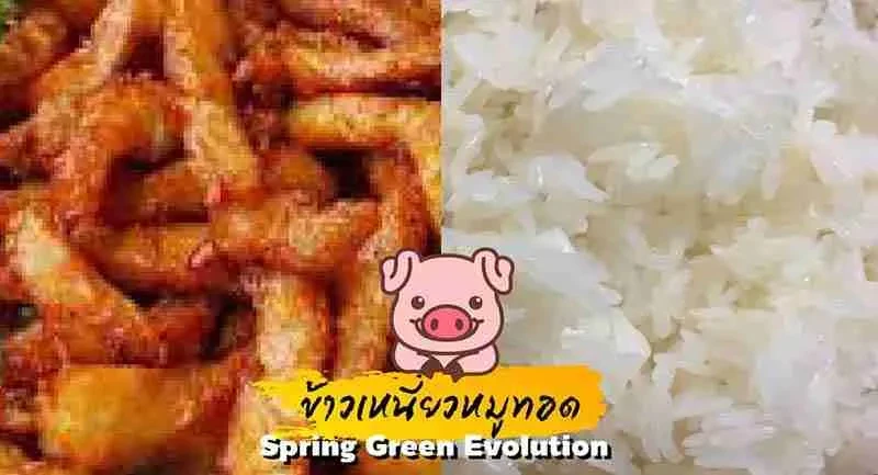 5-สูตรเด็ด-ข้าวเหนียวหมู-2021-2