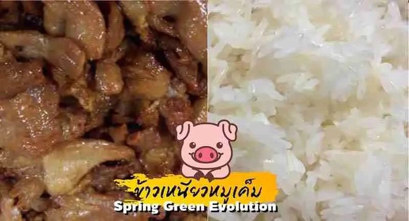 5-สูตรเด็ด-ข้าวเหนียวหมู-2021-3