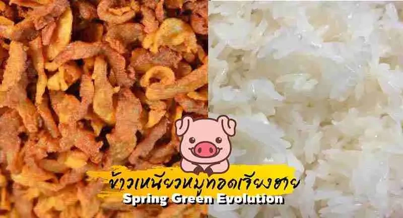 5-สูตรเด็ด-ข้าวเหนียวหมู-2021-5