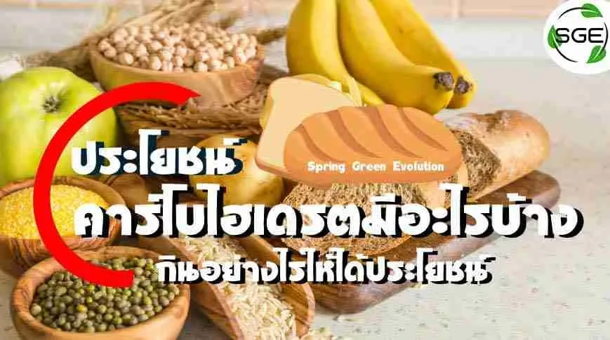 ประโยชน์-คาร์โบไฮเดรตมีอะไรบ้าง-2021
