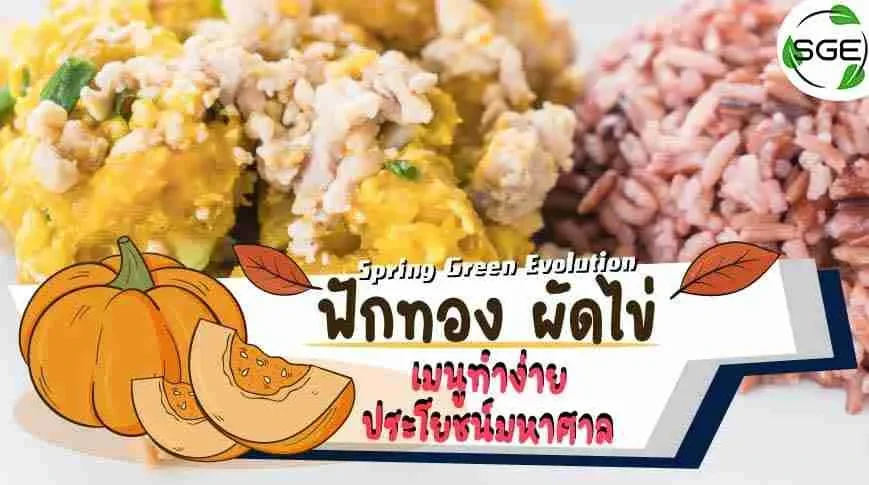 สูตร-ฟักทองผัดไข่-2021