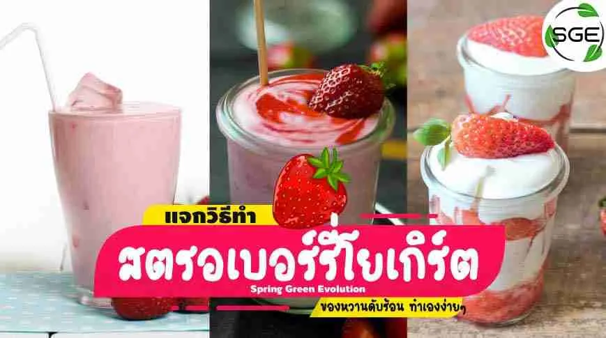 แจกวิธีทำ-สตรอเบอร์รี่โยเกิร์ต-2021