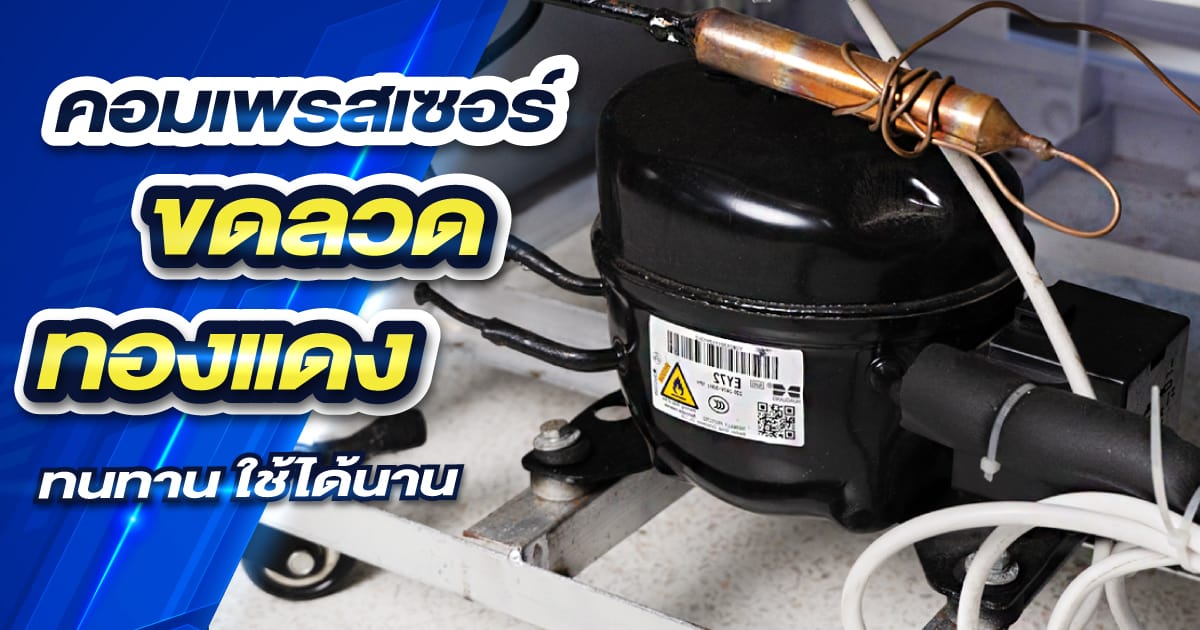 Banner-ฟีเจอร์-3ตู้แช่เย็น-รุ่นมาตรฐานSGE