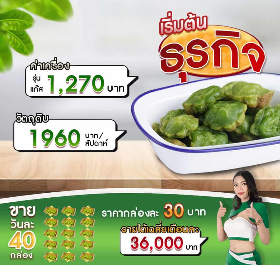 เครื่องทำขนมครก-สิงคโปร์-กำไร1