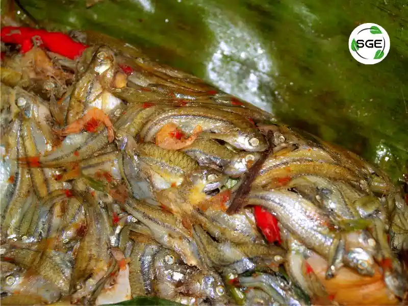 วิธีทำ หมกปลาซิว อาหารอีสาน แบบพื้นบ้าน ทำง่าย แซ่บอีหลี
