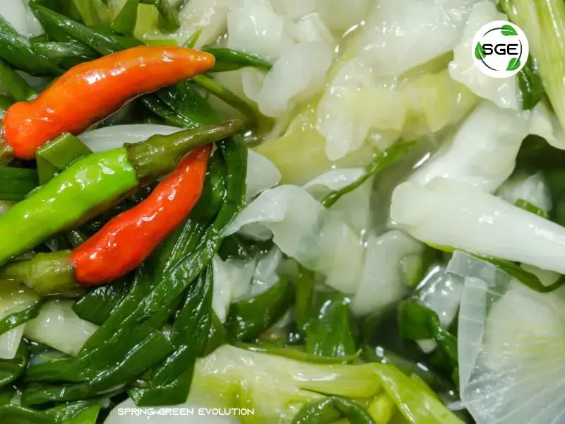 ชวนมาทำ ส้มผัก อาหารพื้นบ้านคนอีสาน วิธีทำไม่ยาก