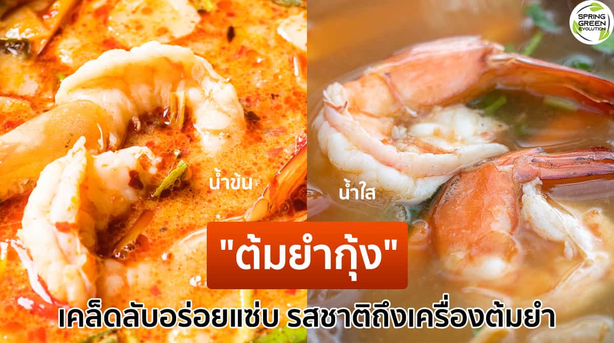 เผย! วิธีทำ ต้มยำกุ้งน้ำข้น น้ำใส อร่อยแซ่บ รสชาติถึงเครื่องต้มยำ