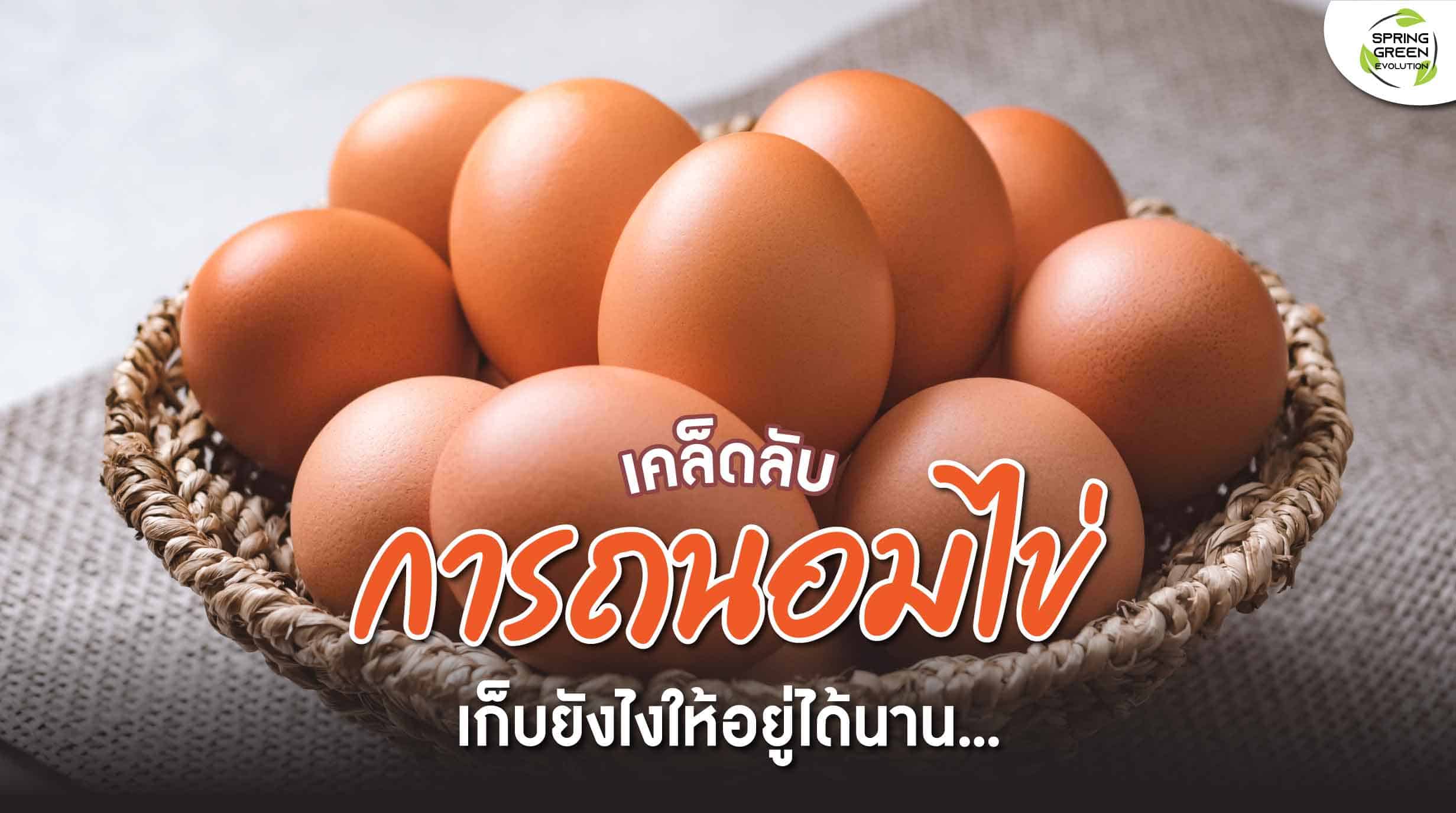 211020-Content-เคล็ดลับดีๆ-การถนอมไข่-อย่างไรให้เก็บได้นาน01
