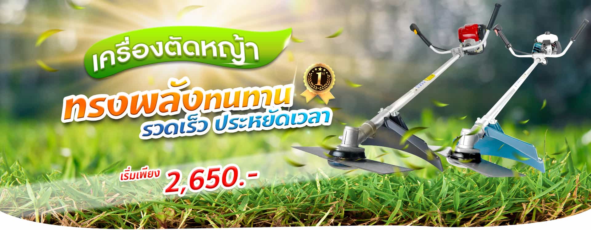211101-Content-รู้จัก-หญ้าแต่ละสายพันธุ์-แบบไหนที่นิยมปลูก08