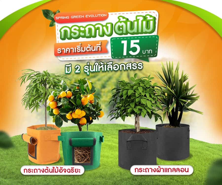 211103-Content-ไม้ดอกหลากหลายพันธุ์-ปลูกในร่มได้-ดูแลไม่ยาก!08