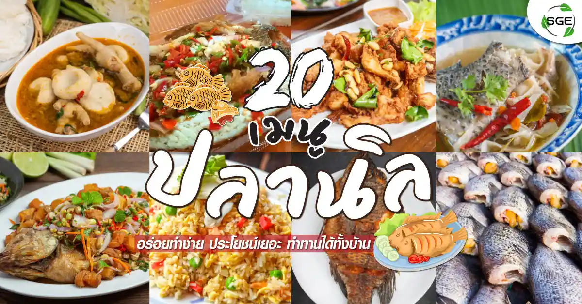 เมนูปลานิล-menu-planin-banner