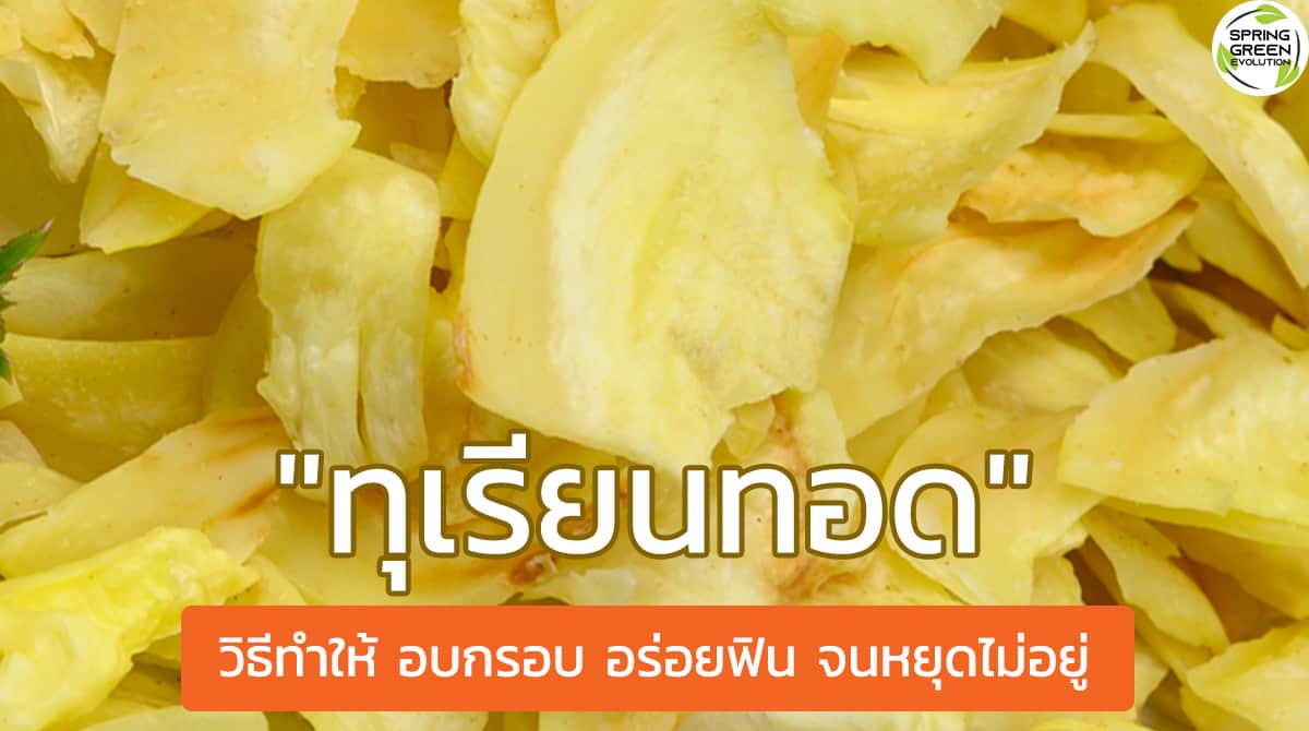 ทุเรียนทอด