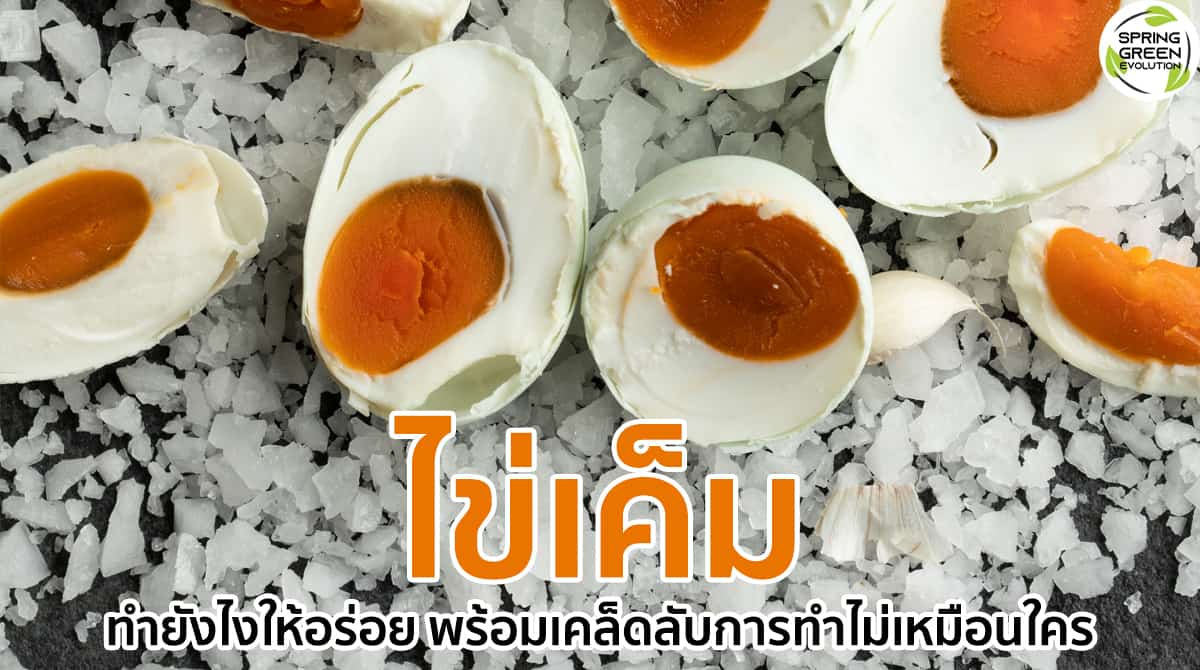 ไข่เค็ม