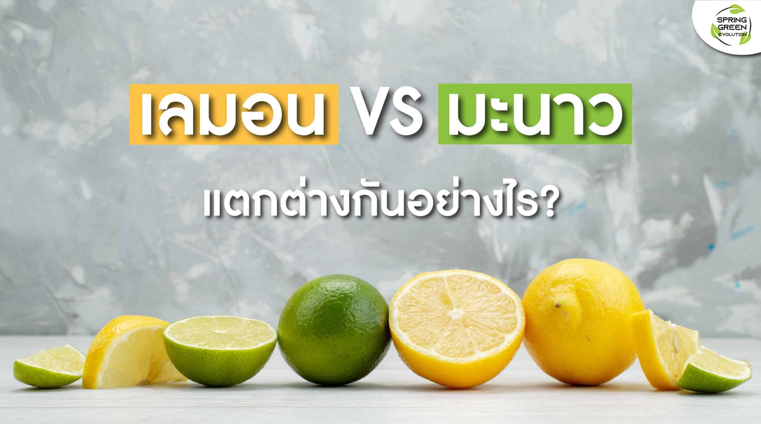 211105-Content-เลมอน-VS-มะนาว-เหมือนหรือต่างกันอย่างไร01