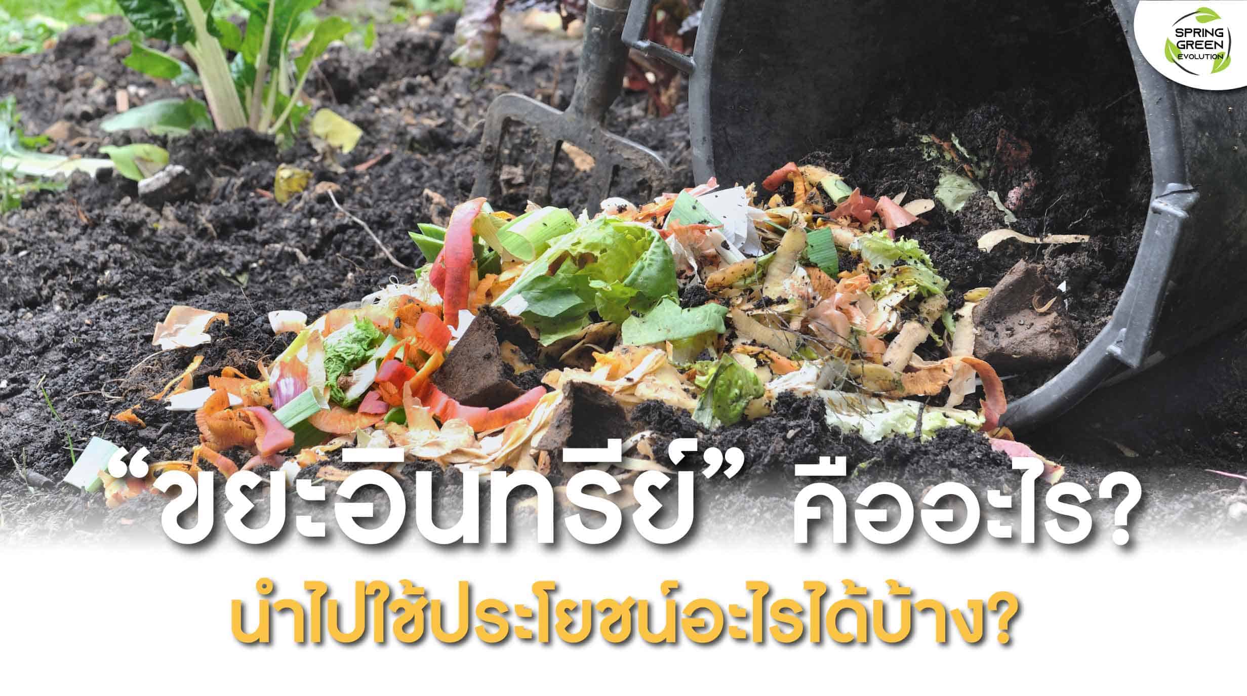 รู้จัก ขยะอินทรีย์ คืออะไร นำมาทำอะไรได้บ้าง? - SGETHAI รู้จัก ขยะอินทรีย์ คืออะไร นำมาทำอะไรได้บ้าง? - Sgethai