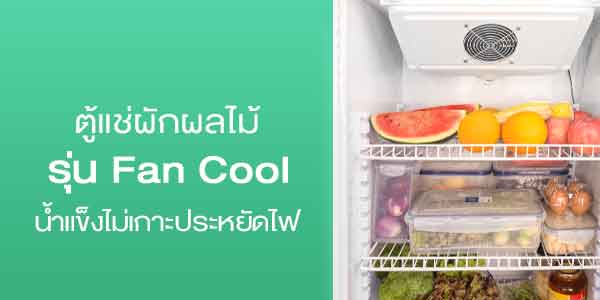 ตู้แช่ผักผลไม้-รุ่น-fancool