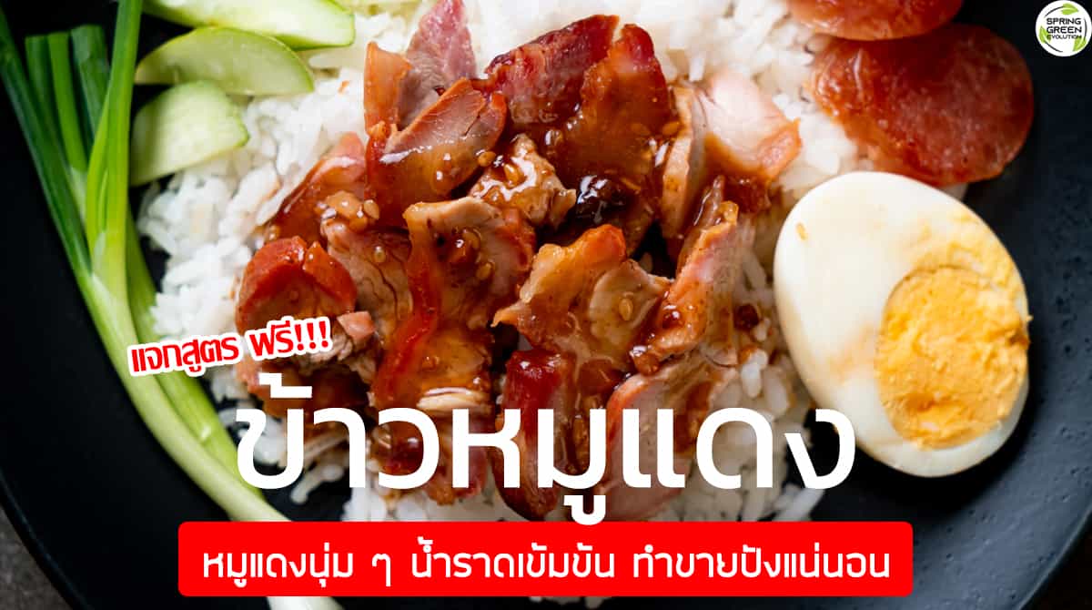 ฟรี!! สูตร ข้าวหมูแดง หมูแดงนุ่ม ๆ น้ำราดเข้มข้น ทำขายปังแน่นอน