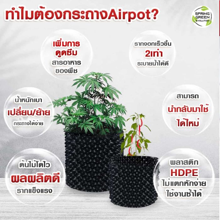 กระถางairpot-03