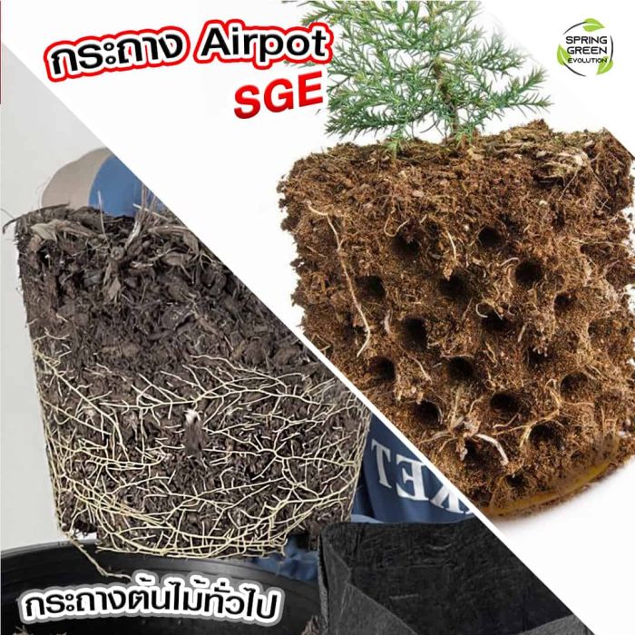 กระถางairpot-04