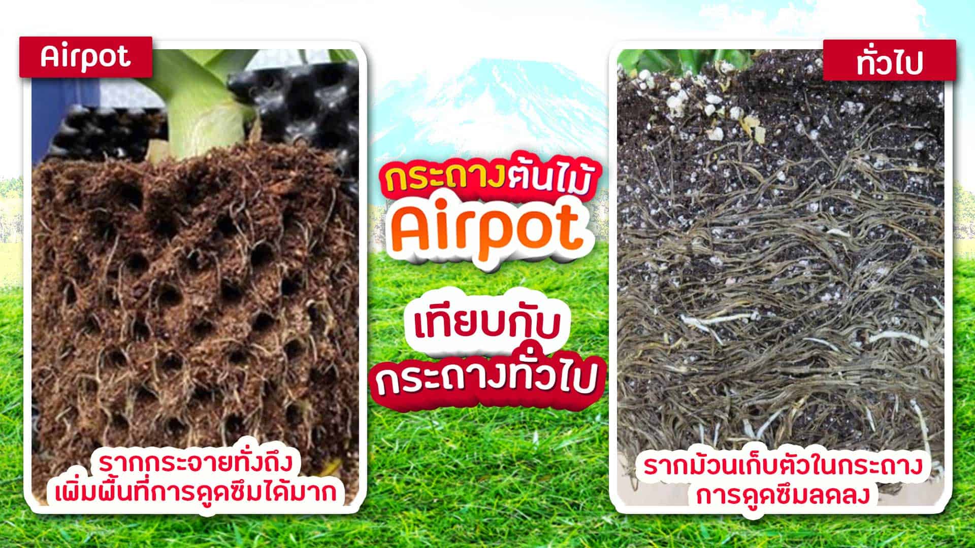 กระถางต้นไม้ Airpot-ฟีตเจอร์