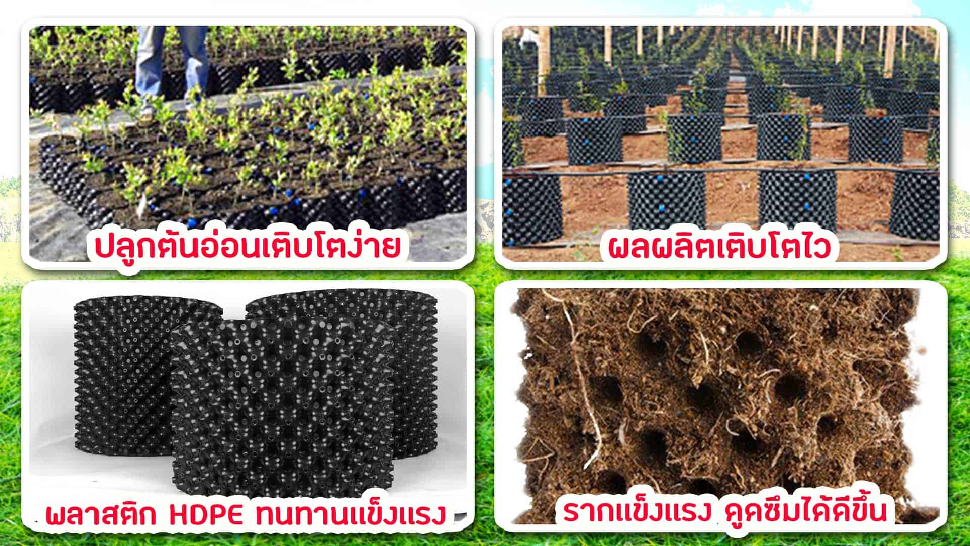 กระถางต้นไม้ Airpot-ฟีตเจอร์2