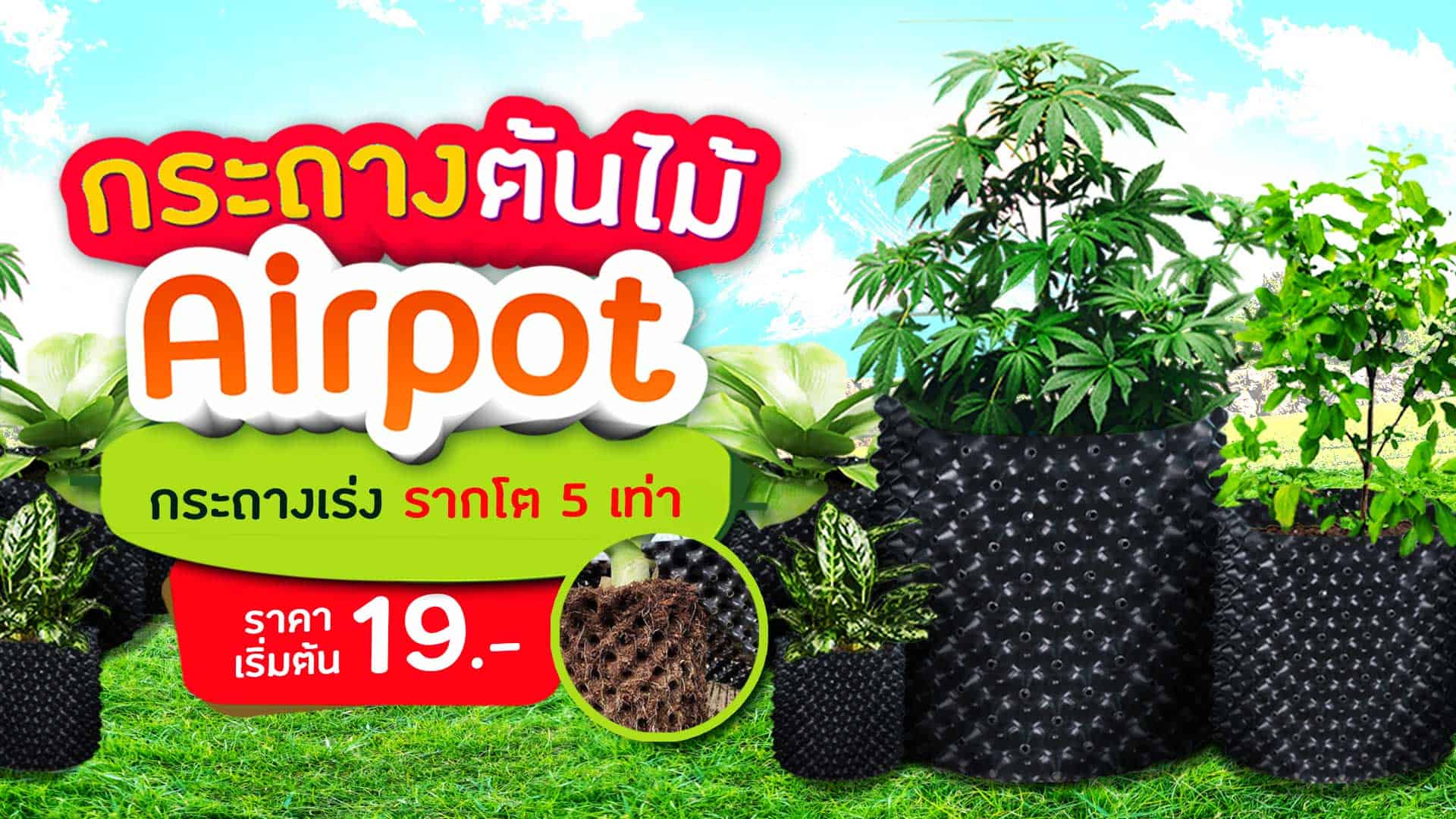 กระถางต้นไม้ Airpot ราคา