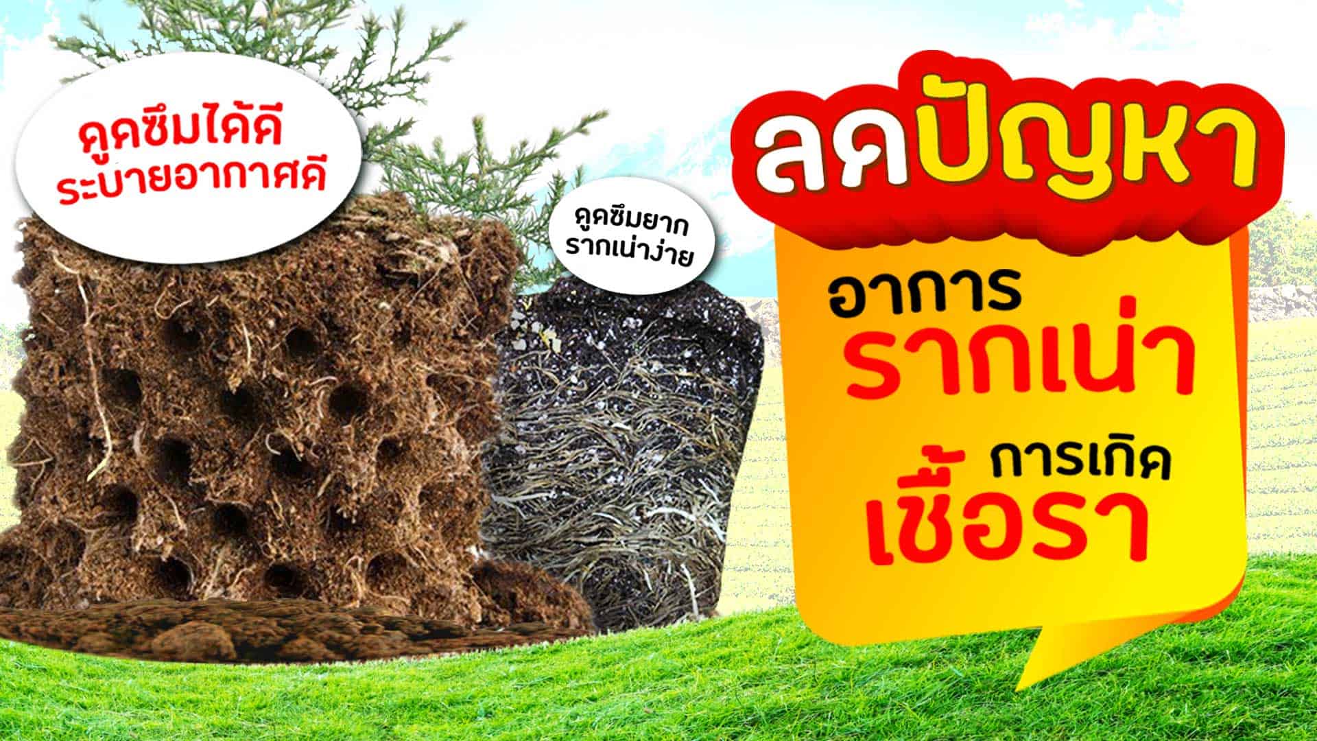 กระถางต้นไม้ Air Pot ช่วยลดปัญหา