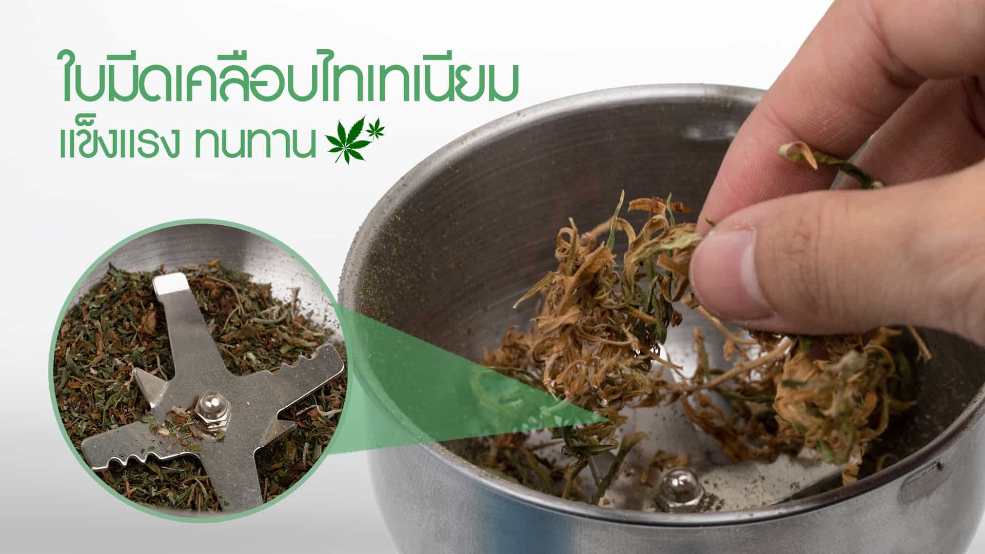 เครื่องบดสมุนไพร-พกพา-คุณสมบัติ2