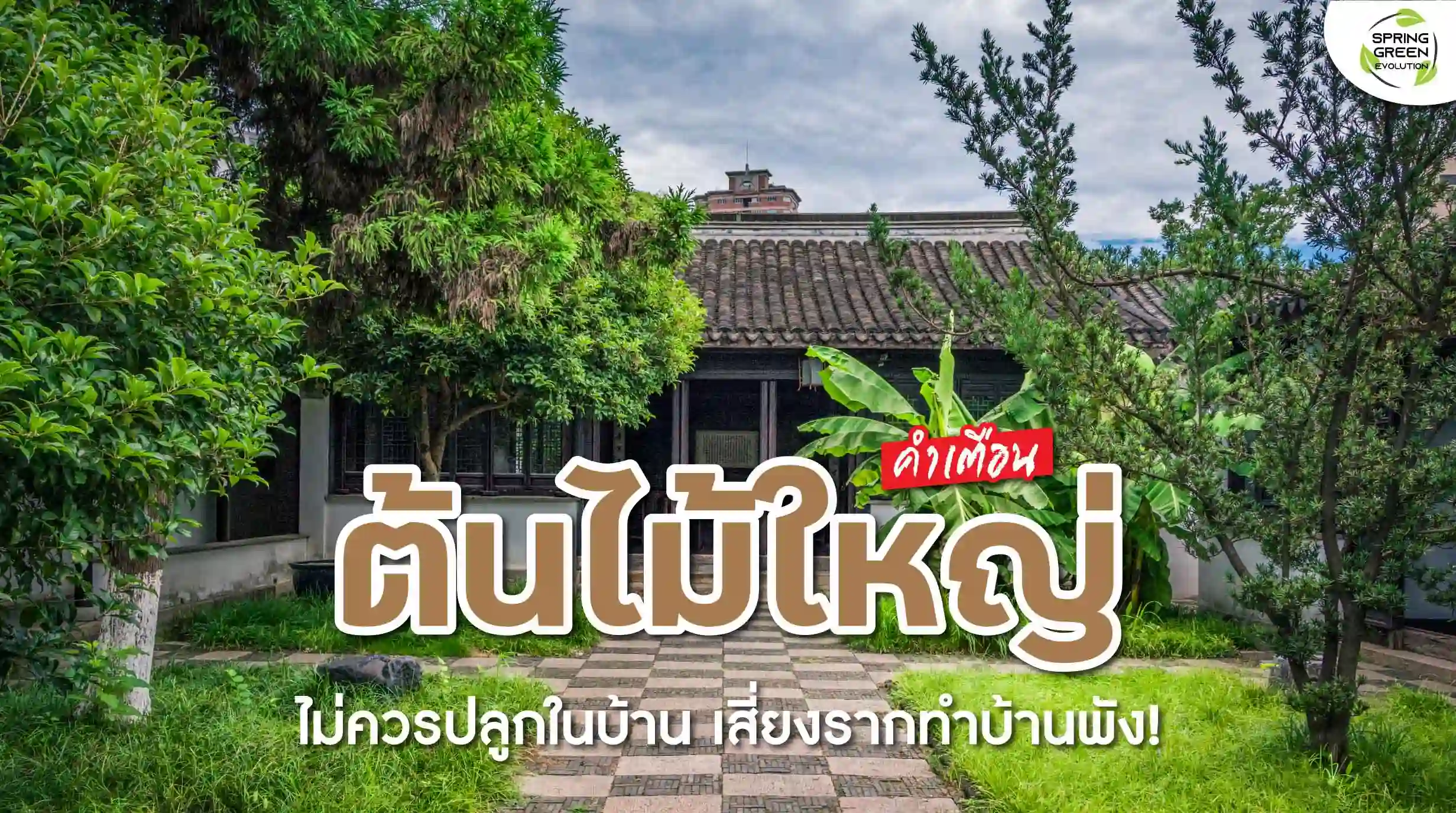 คำเตือน! ต้นไม้ใหญ่ ไม่ควรปลูกใกล้บ้าน ต้องรู้ไว้ก่อนบ้านจะพัง คำเตือน! ต้นไม้ใหญ่ ไม่ควรปลูกใกล้บ้าน ต้องรู้ไว้ก่อนบ้านจะพัง