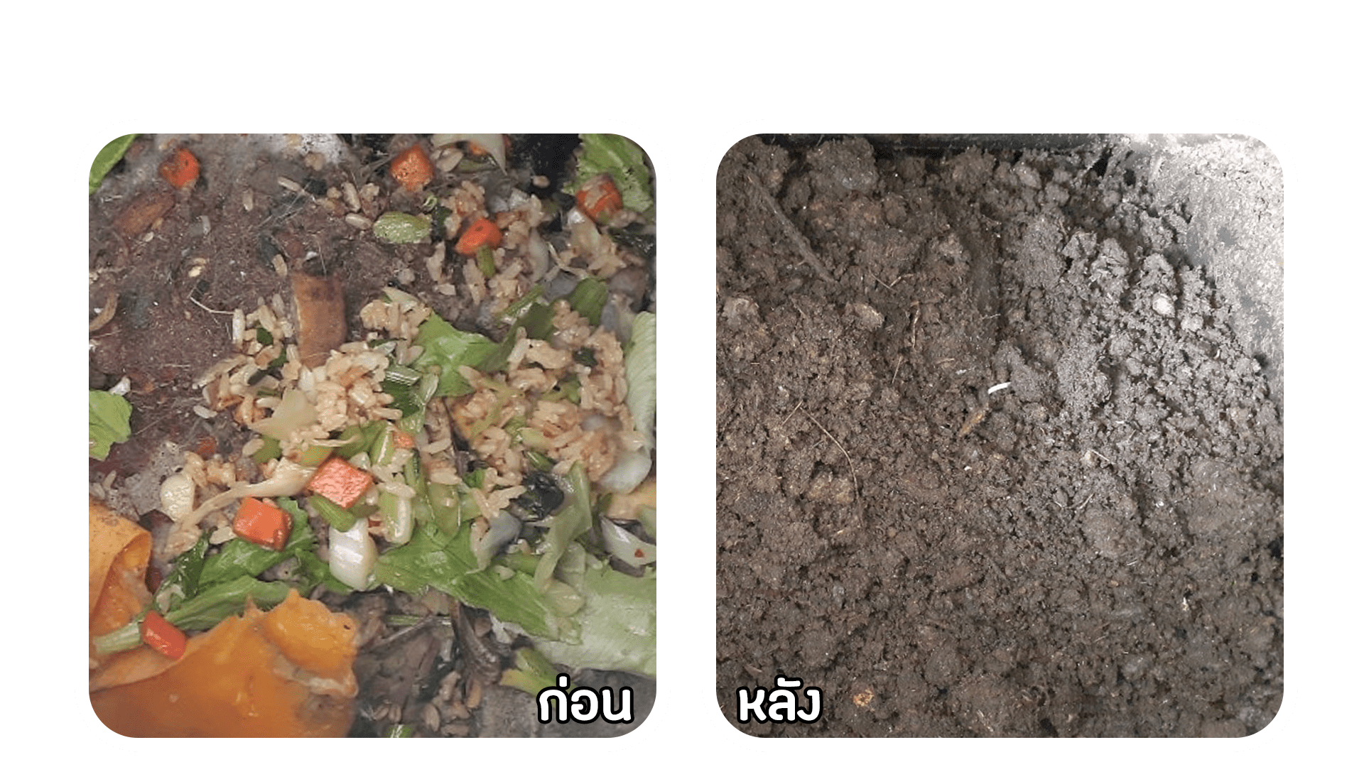 ถังหมักเศษอาหาร ผลลัพธ์ หลังใช้