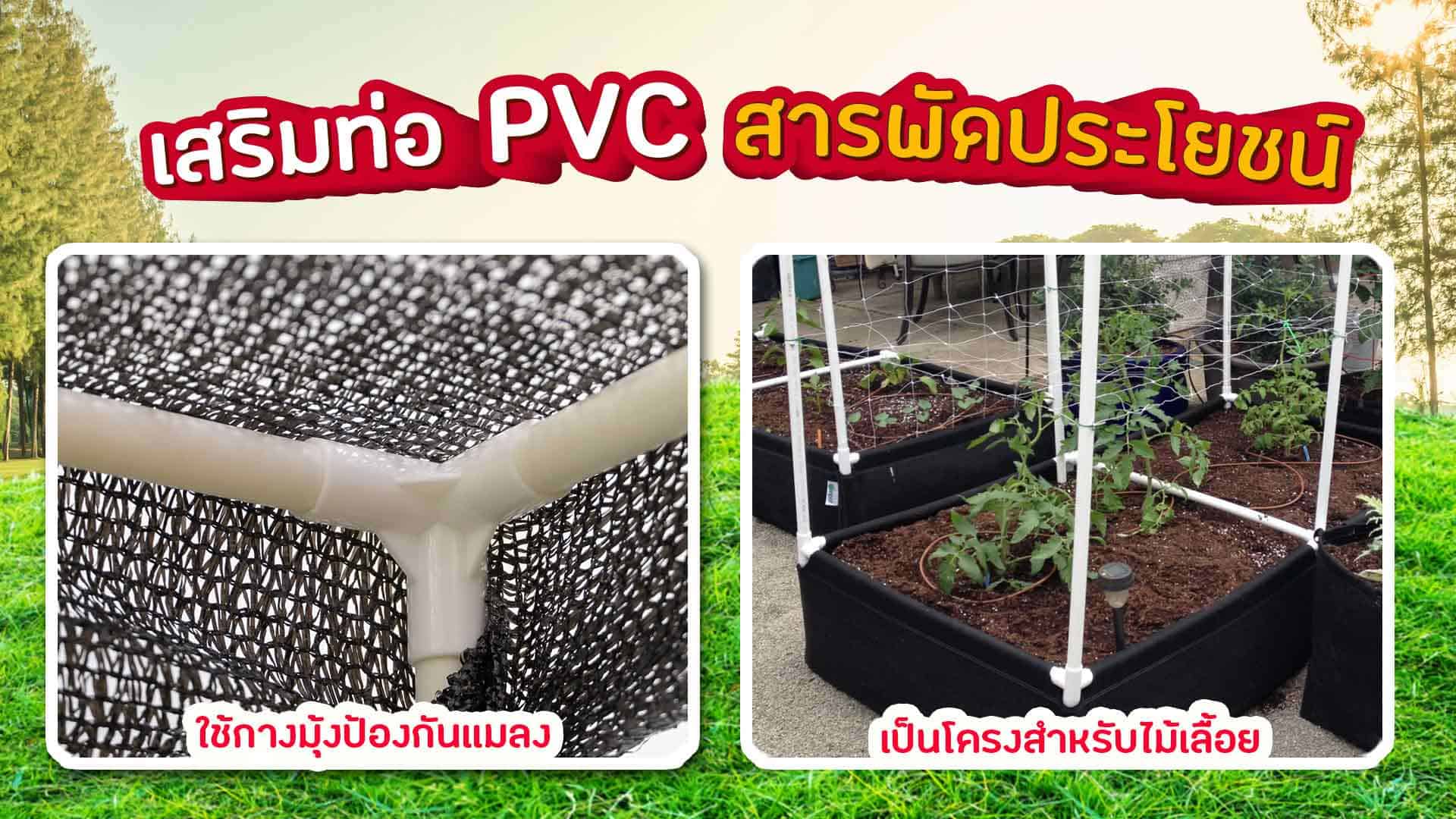 กระบะปลูกผักปลูกต้นไม้ สารพัดประโยชน์