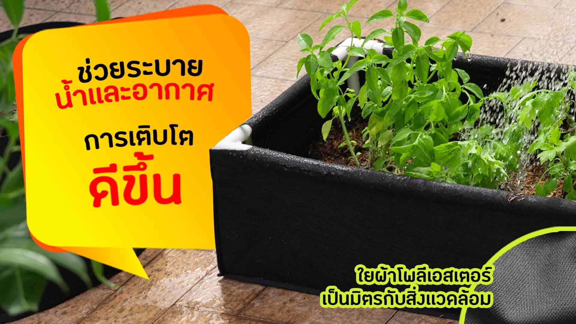 กระบะปลูกผักปลูกต้นไม้ สารพัดประโยชน์