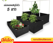 หน้า1-กระบปลูกผักะ-หน้าเว็บ