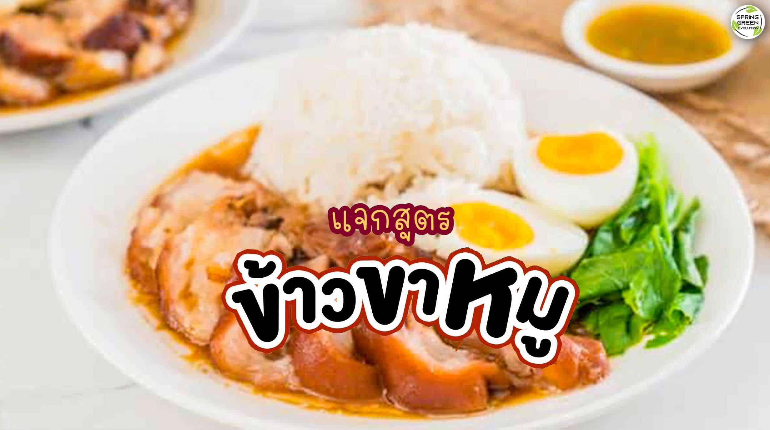 แจกสูตร ข้าวขาหมู ขาหมูละลายในปาก พร้อมวิธีทำน้ำจิ้มรสเด็ด - SGEthai แจกสูตร ข้าวขาหมู ขาหมูละลายในปาก พร้อมวิธีทำน้ำจิ้มรสเด็ด - Sgethai