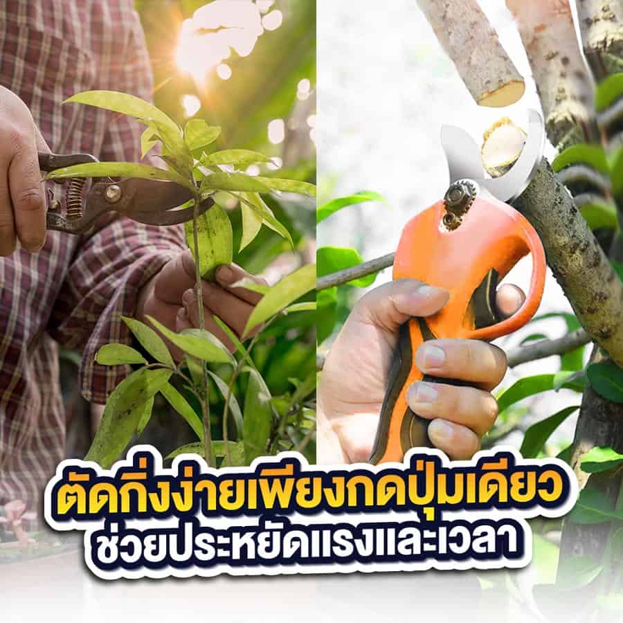 02กรรไกรตัดกิ่งไฟฟ้า-ตัดง่ายเพียงปุ่มเดียว
