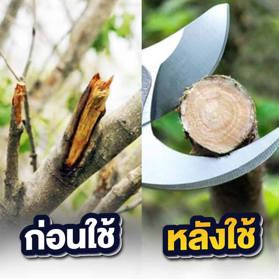 07-กรรไกรตัดกิ่งไฟฟ้า-ก่อนใช้หลังใช้