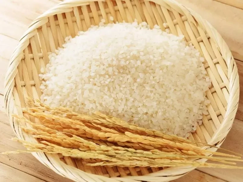 ข้าวญี่ปุ่น