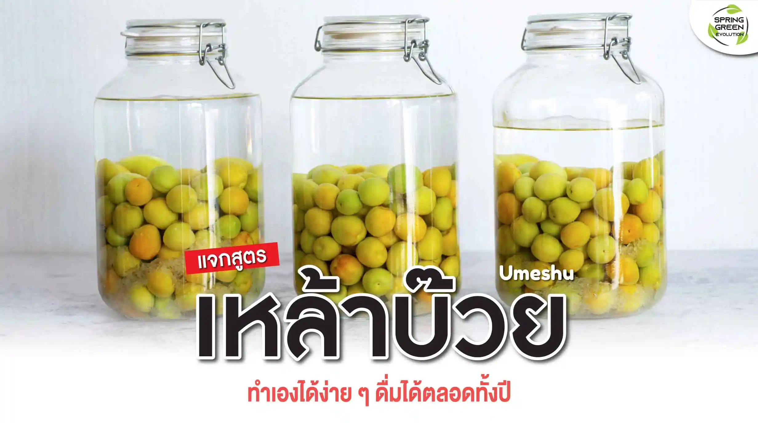 ชวนมาทำ "เหล้าบ๊วย" แบบญี่ปุ่น ง่ายๆ ด้วยตัวเอง - SGETHAI