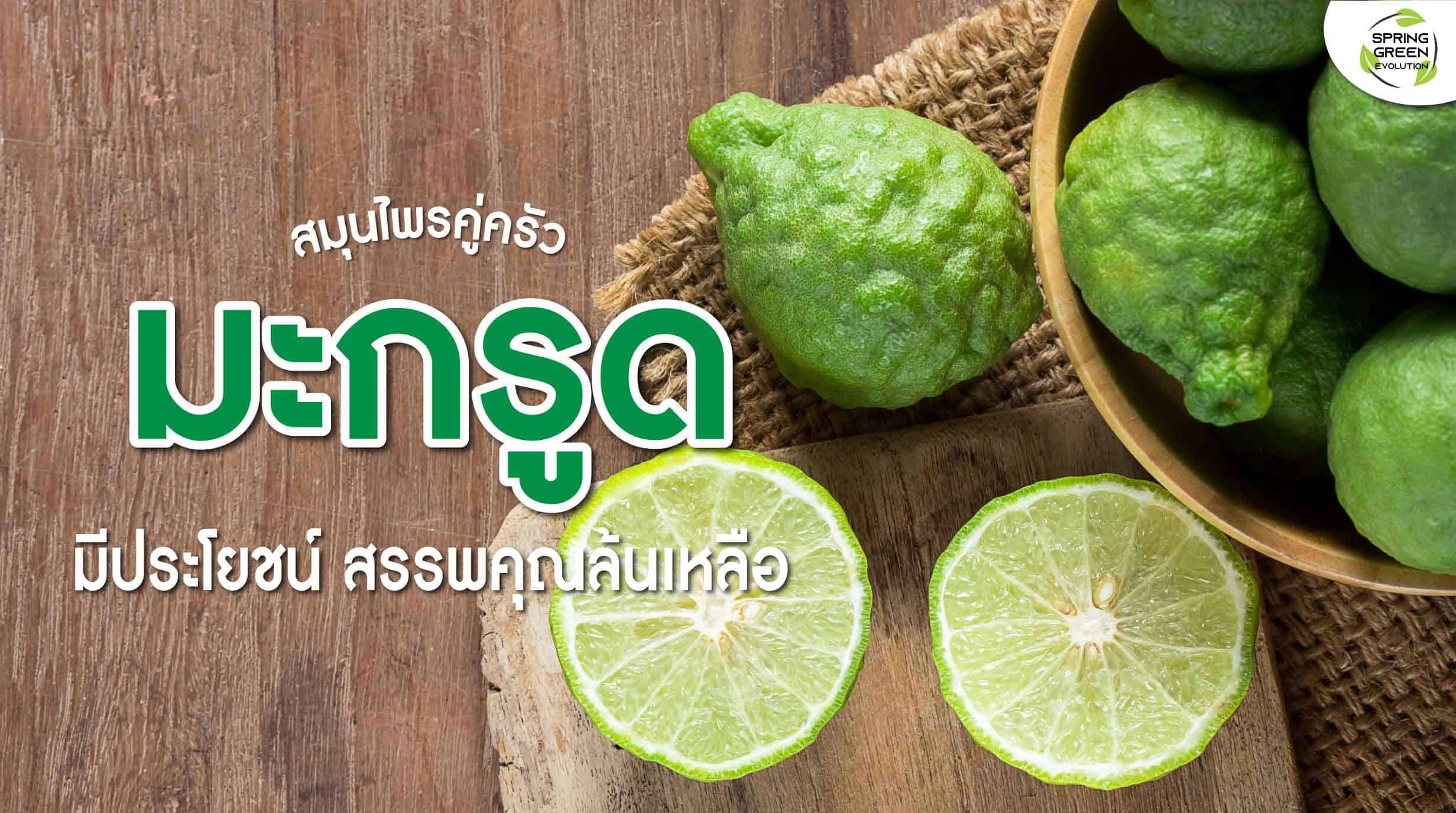 มะกรูด มะกรูด