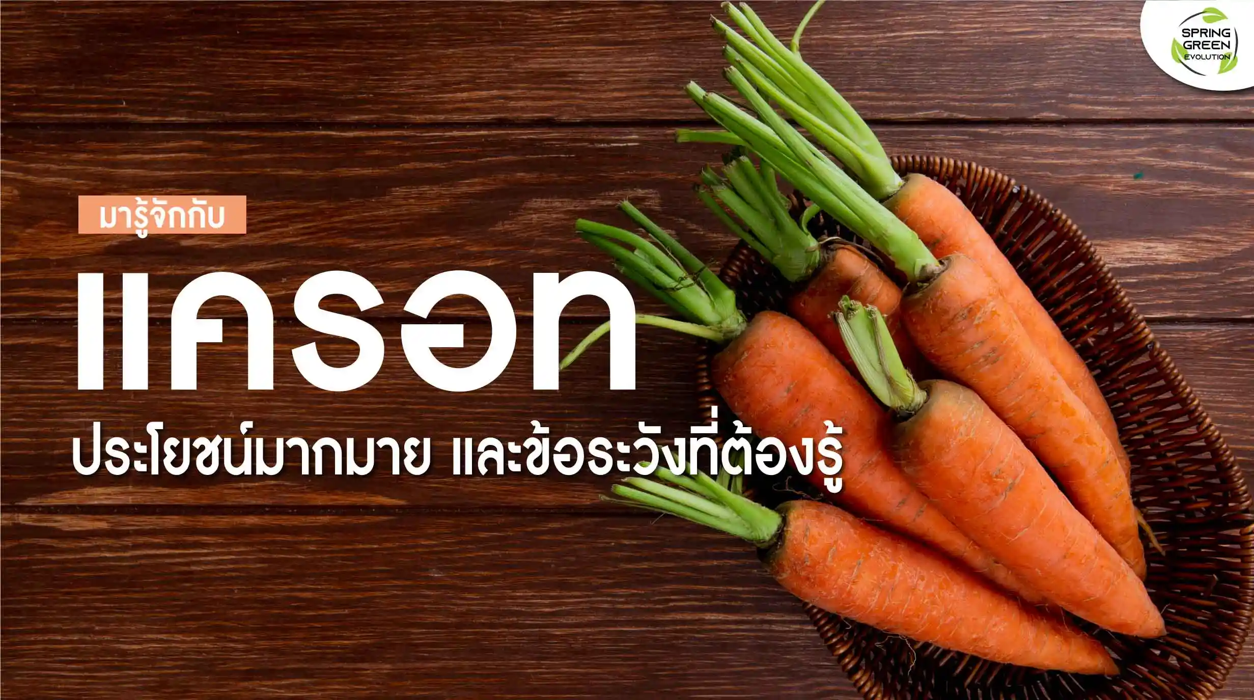 รู้จัก ประโยชน์ของแครอท และข้อควรระวัง มีอะไรบ้าง? - SGETHAI รู้จัก ประโยชน์ของแครอท และข้อควรระวัง มีอะไรบ้าง? - Sgethai