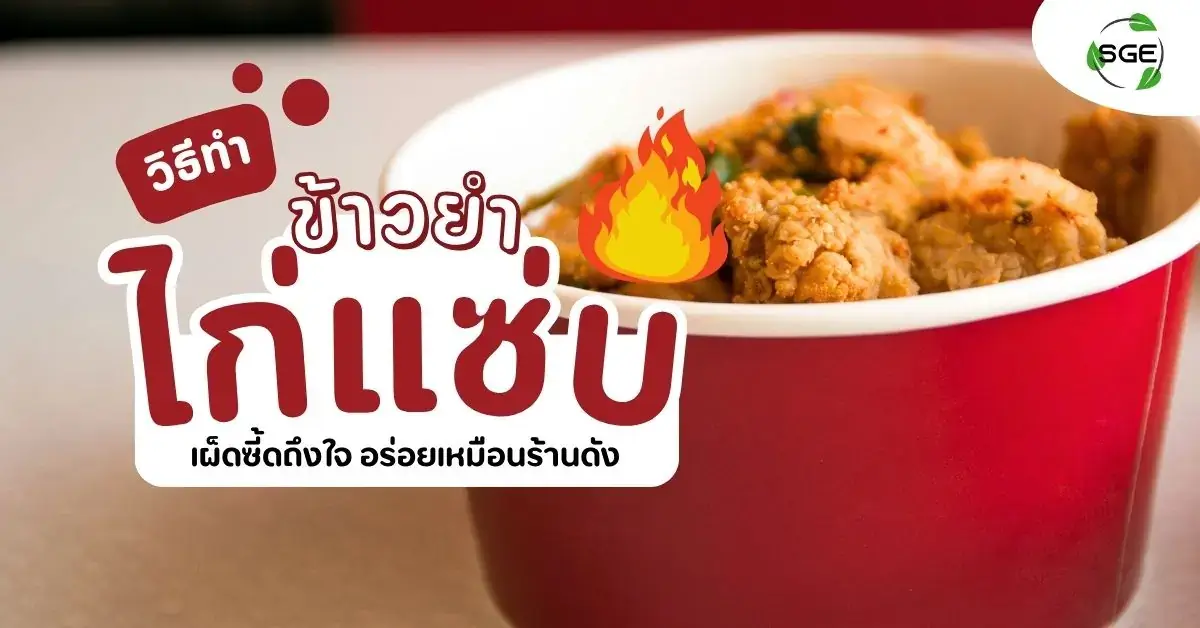 ข้าวยำไก่แซ่บ