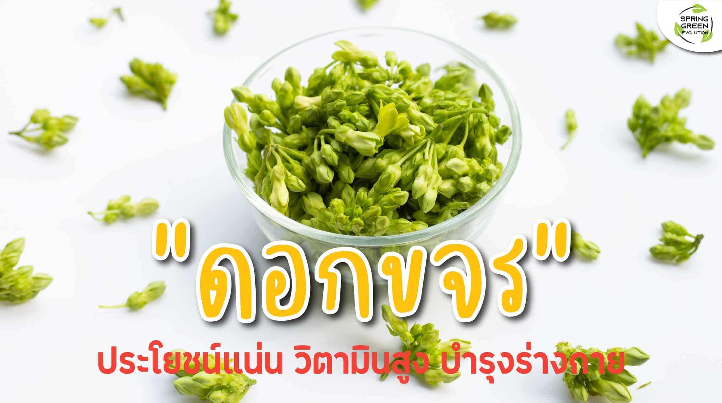 รวมเมนู ดอกขจร ผักริมรั้วมากประโยชน์ สรรพคุณแน่น - SGETHAI รวมเมนู ดอกขจร ผักริมรั้วมากประโยชน์ สรรพคุณแน่น - Sgethai